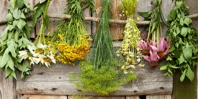 Мотивация выживания*