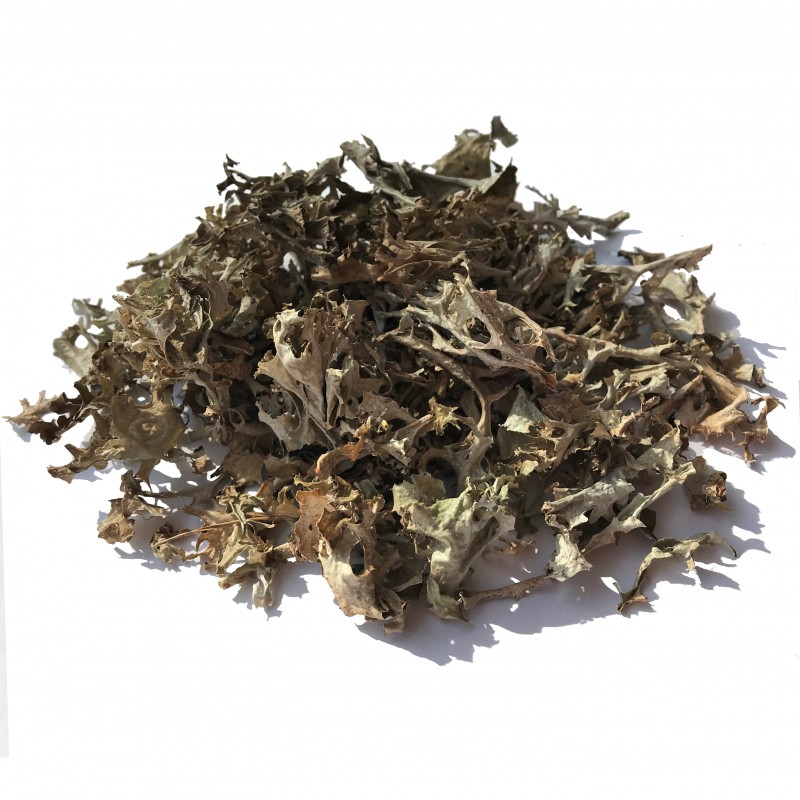  Цетрария исландская 