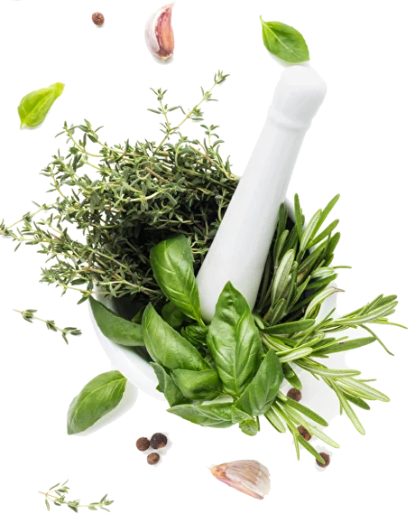 Выращивание лекарственных растений