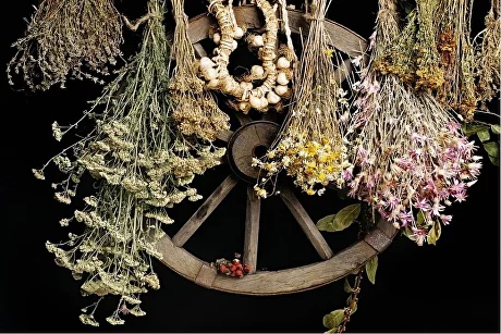 Лекция №3. Шаманское Колесо Трав