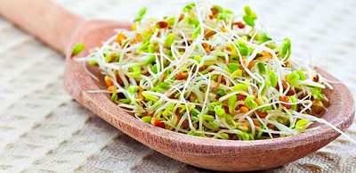 Энзимная кулинария и мастер-классы по приготовлению*