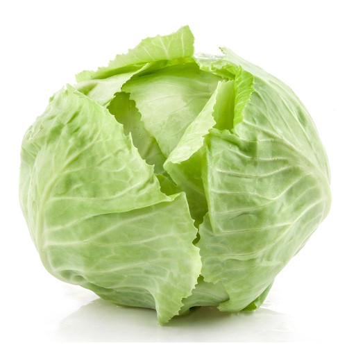 Капуста огородная фото