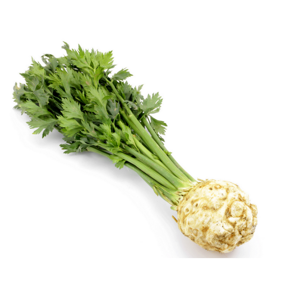 Сельдерей пахучий