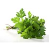 Петрушка огородная фото