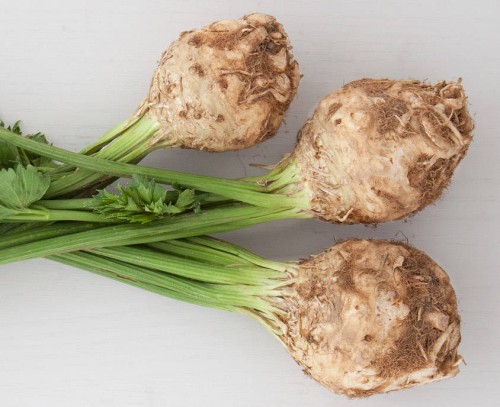 Сельдерей пахучий фото