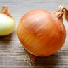 Лук репчатый фото