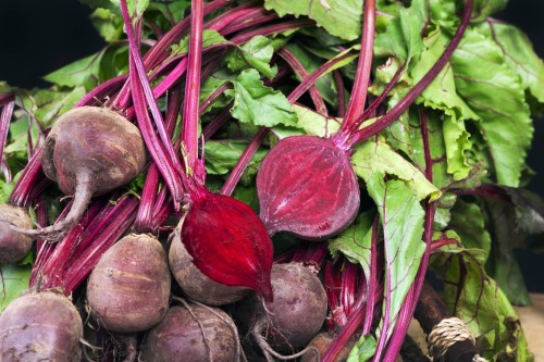 Свёкла обыкновенная фото