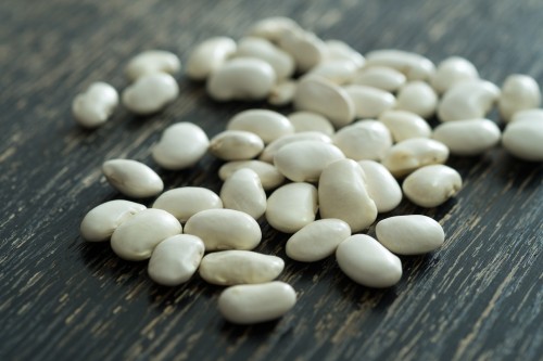 Фасоль обыкновенная фото