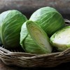 Капуста огородная фото