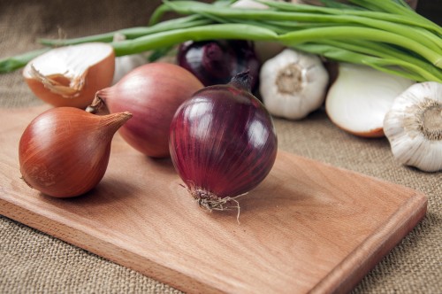 Лук репчатый фото