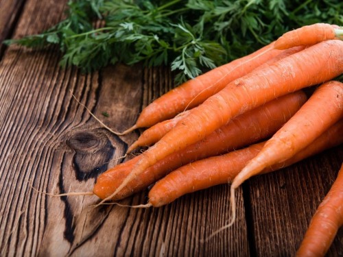 Морковь посевная фото