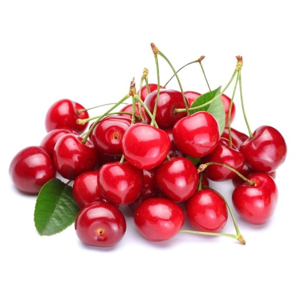 Вишня обыкновенная