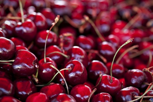 Черешня фото