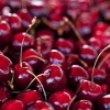 Черешня фото