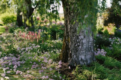 Онлайн-школа травничества